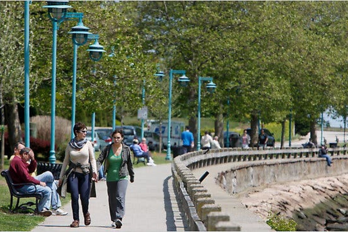 St. Mary's by the Sea area in Black Rock - Professional dog walking and pet care services