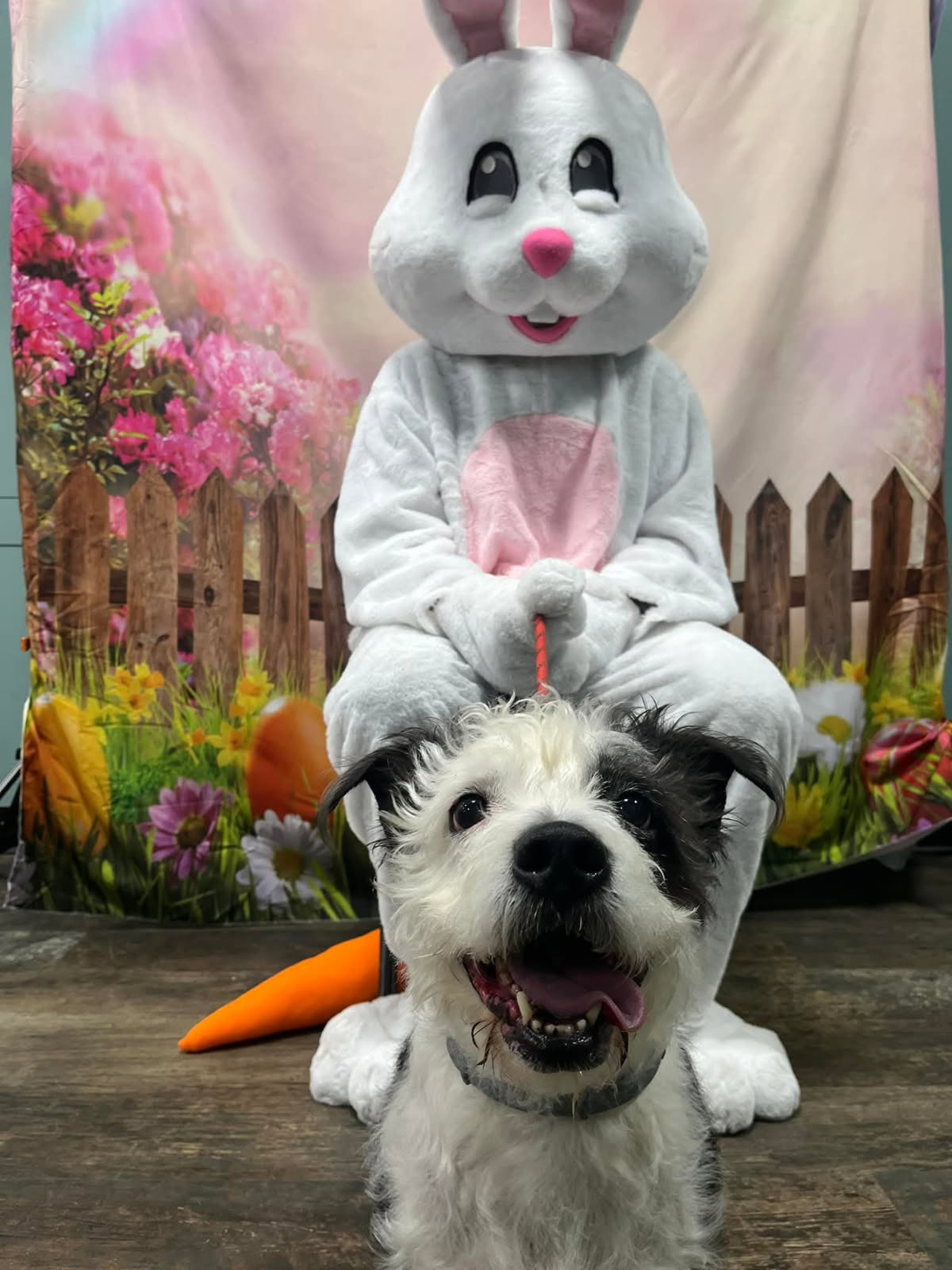 Finnegan with Easter Bunny bringing joy and smiles