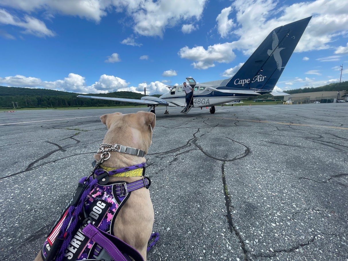 Honey connecting with community members