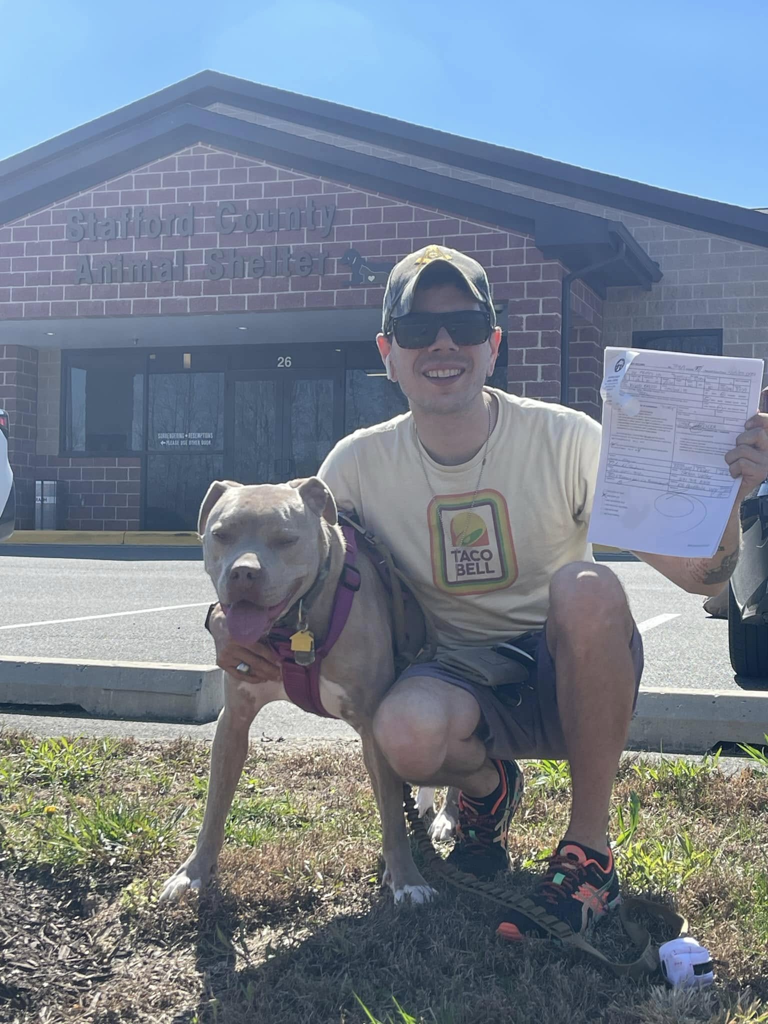 Honey the therapy pitbull bringing smiles