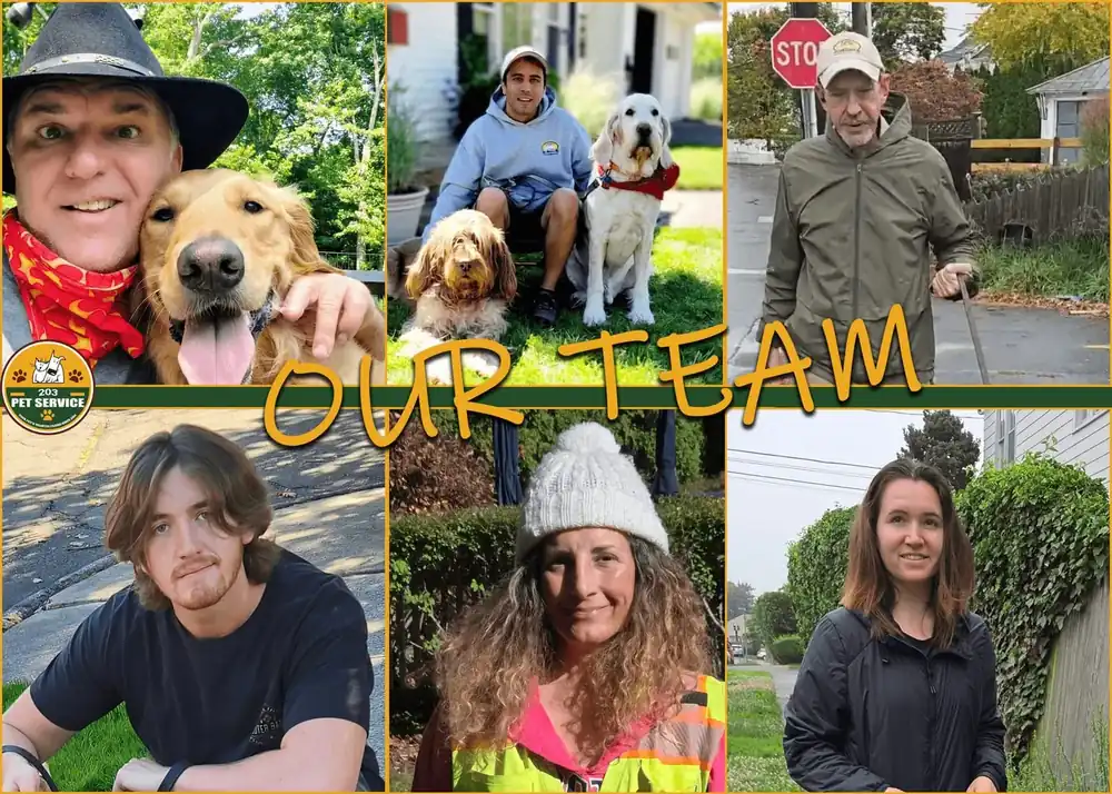 203 Pet Service team members - Professional pet care specialists in Connecticut