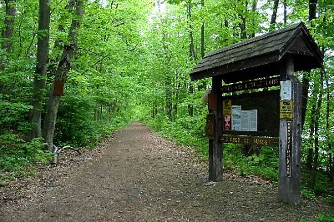 Trumbull Rail Trail - Professional dog walking and pet care services in Trumbull CT