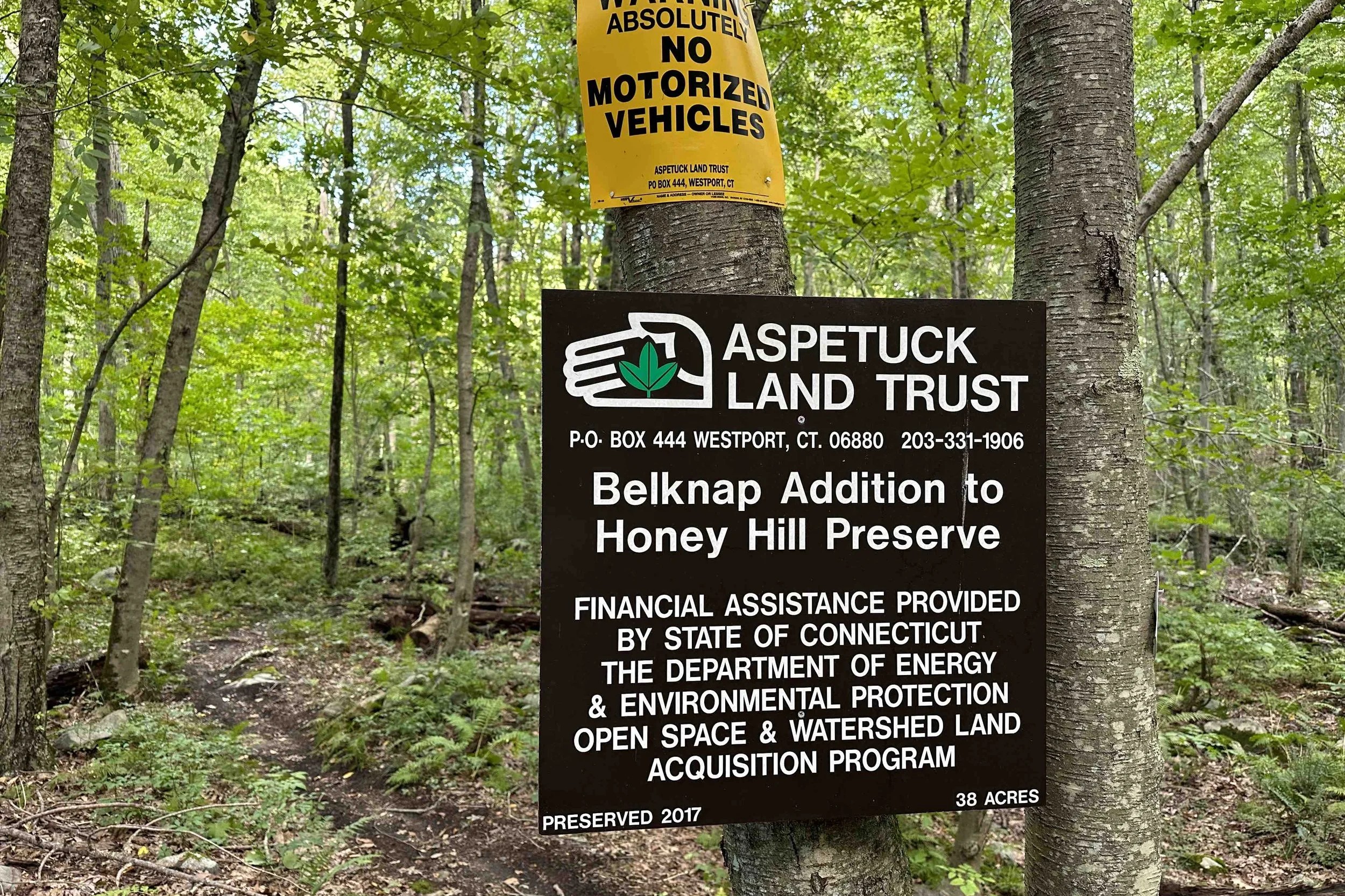 Beautiful nature trails in Weston CT - Professional dog walking and pet care services